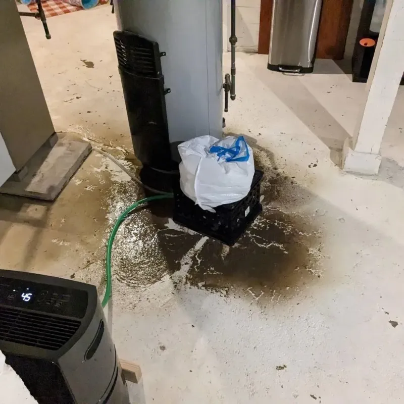 Sewage Backup Cleanup Service in Bergen County, NJ